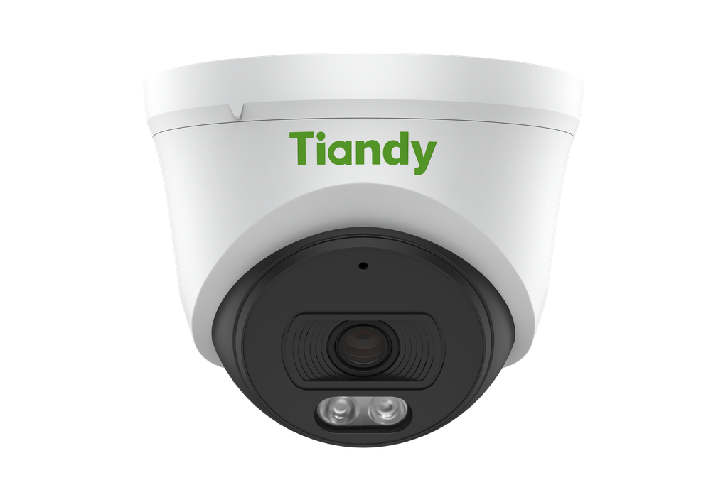 Caméra ip Tiandy Dôme 4MP IR 30m (TC-C34XN)