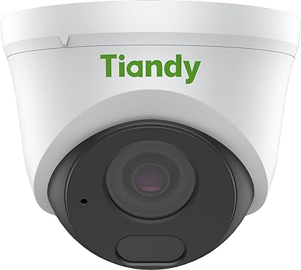 Caméra ip Tiandy Dôme 4MP IR 30m mic (TC-C34XN)